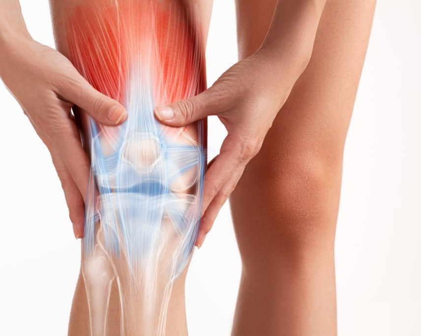  Ligament & Tendon Damage